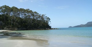 Bruny_Island_Tour_iPad_485x250_2